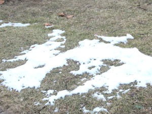 殘雪 leftover snow