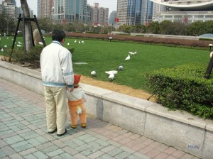 上海博物館前小童看鴿子