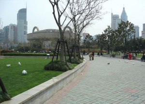 上海博物館遠望
